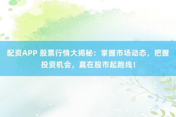 配资APP 股票行情大揭秘：掌握市场动态，把握投资机会，赢在股市起跑线！