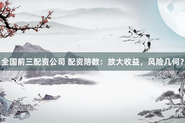 全国前三配资公司 配资陪数：放大收益，风险几何？