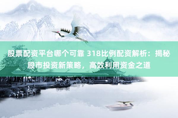 股票配资平台哪个可靠 318比例配资解析：揭秘股市投资新策略，高效利用资金之道