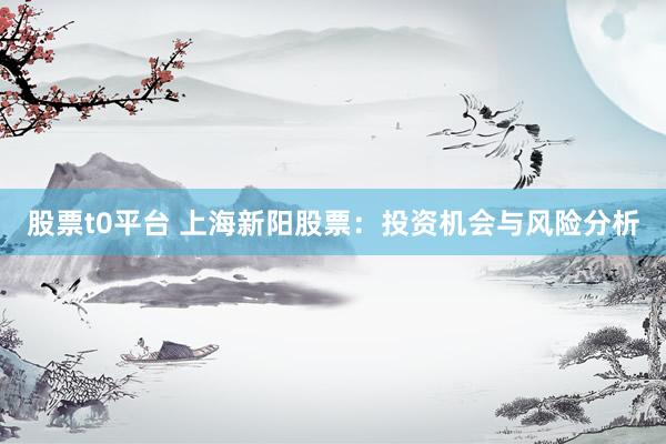 股票t0平台 上海新阳股票：投资机会与风险分析
