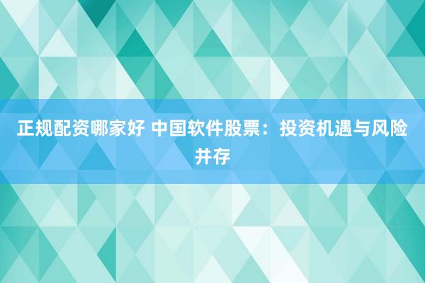 正规配资哪家好 中国软件股票：投资机遇与风险并存