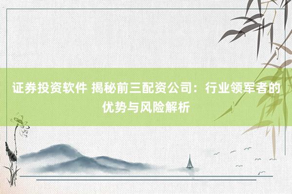 证券投资软件 揭秘前三配资公司：行业领军者的优势与风险解析