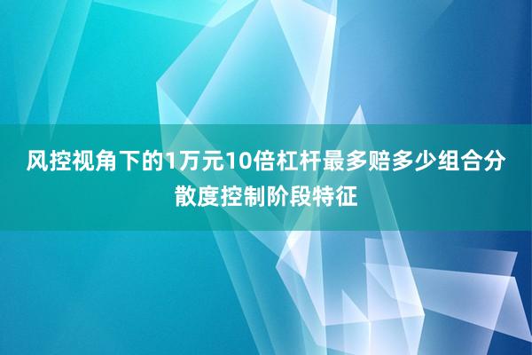 风控视角下的1万元10倍杠杆最多赔多少组合分散度控制阶段特征