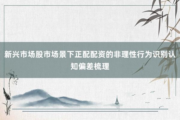 新兴市场股市场景下正配配资的非理性行为识别认知偏差梳理