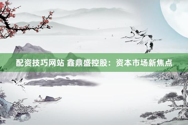 配资技巧网站 鑫鼎盛控股：资本市场新焦点